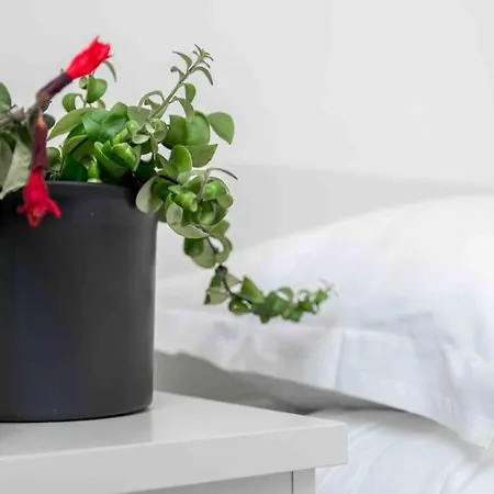 A Due Passi Dall'acquario Parking Free *