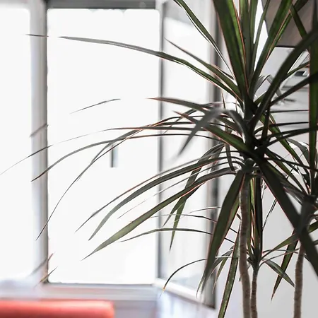 A Due Passi Dall'acquario Parking Free Γένοβα